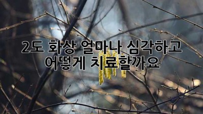 2도 화상, 얼마나 심각하고 어떻게 치료할까요?